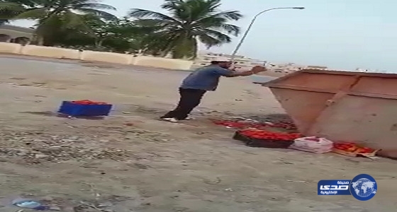 بالفيديو..عامل يجمع الطماطم من القمامة ليبيعها في السوق