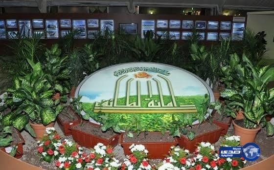 أمانة الطائف تستخرج 112 رخصة بناء عبر بوابة «بلدي»