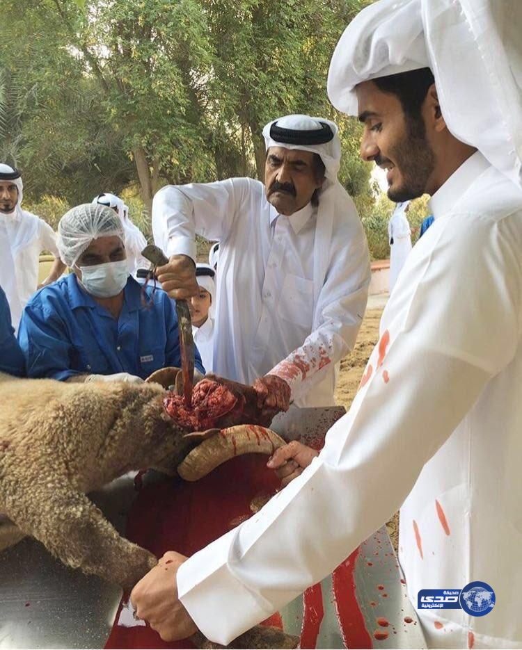 بالصورة.. أمير قطر السابق الشيخ حمد آل ثاني يقوم بنحر أضحيته بنفسه