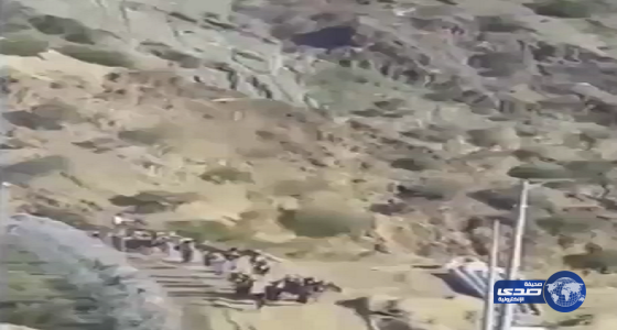 بالفيديو : أبطال الحد الجنوبي يأسرون عدد كبير من ميليشيا الحوثي والمخلوع