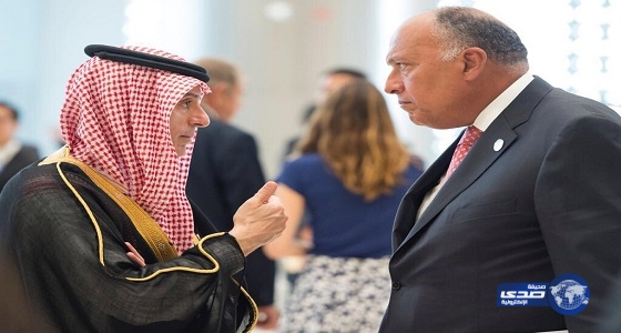 وزير الخارجية يعقد لقاء مع نظيرة المصري على هامش قمة مجموعة العشرين