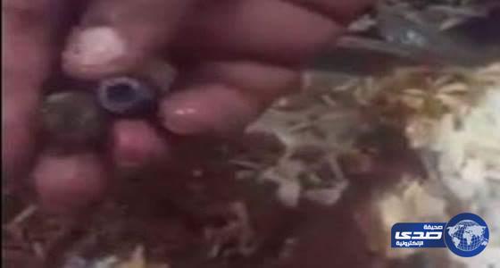بالفيديو..مواطن يفاجأ بقطعة حديدية داخل السمك في أحد المطاعم الشهيرة