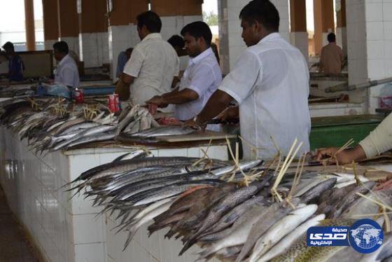 رصد 57 مخالفة في أسواق الأسماك والمنتجات البحرية بالطائف