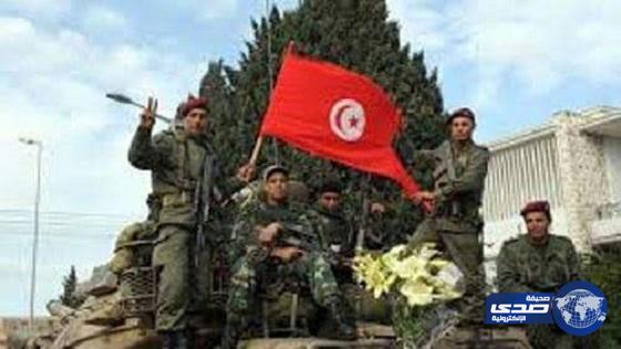 وزير الدفاع التونسي: لا وجود لقواعد عسكرية أجنبية على أراضينا