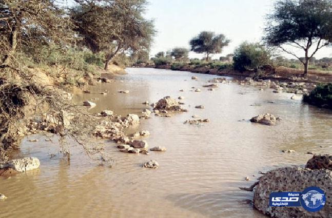 وزير البلديات يطالب «البيئة والمياه والزراعة» بمعالجة طفح وادي الأديرع