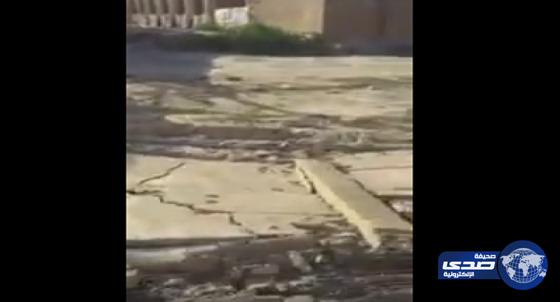 بالفيديو.. انهيار السور الخارجي لإحدى المدارس الابتدائية بالقطيف