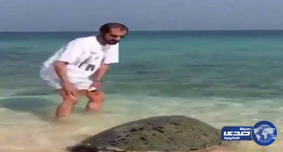 بالفيديو.. محمد بن راشد يداعب سلحفاة ضخمة على أحد شواطئ دبي