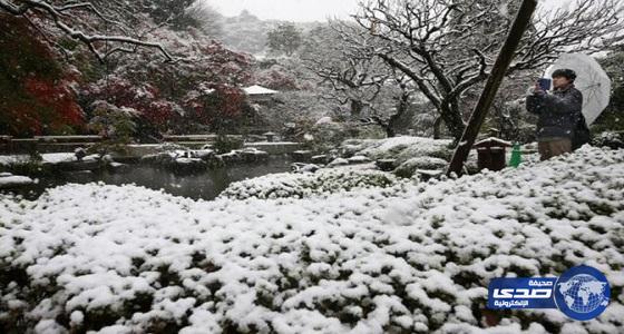 الثلوج تسقط على طوكيو في نوفمبر للمرة الأولى منذ 54 عاماً