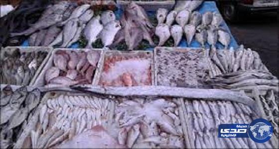 تقلبات الطقس ترفع أسعار الأسماك في أسواق المملكة