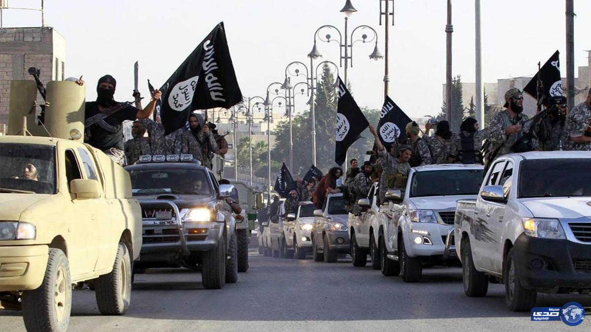 البنتاغون: تحرير الرقة من قبضة داعش يستغرق 6 أشهر