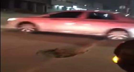 بالفيديو ..&#8221; نجم &#8220;تستجيب لشكوى مواطن تضرر من حفرة في الشارع