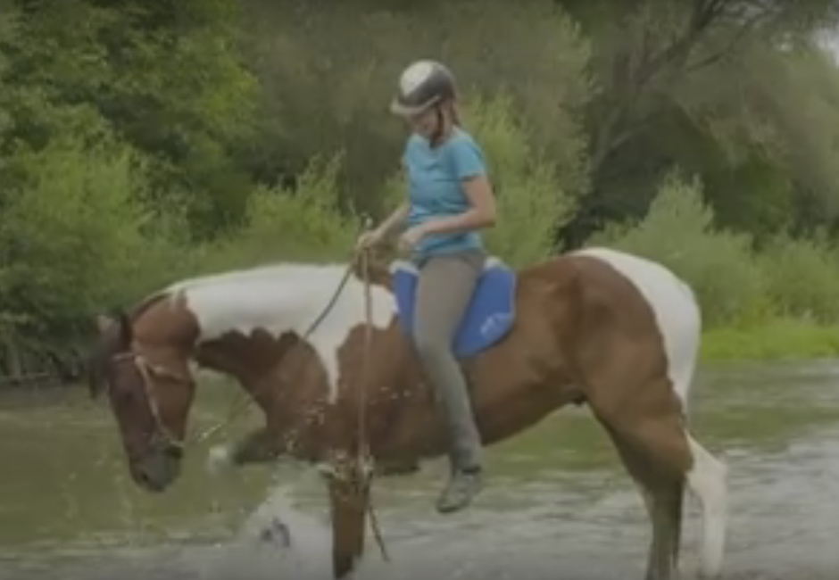 بالفيديو.. أول حذاء رياضي خاص بالخيول في العالم