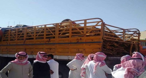 مصادرة كمية كبيرة من الحطب قبل بيعه بأسواق الرياض