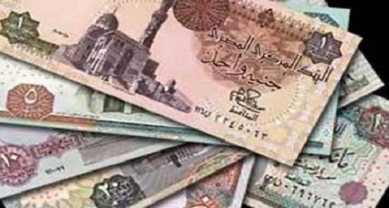 الريال يسجل ارتفاعا جديدا في السوق المصرية.. ويقترب من خمس جنيهات
