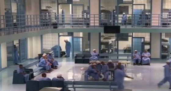 السجون تطالب وزارة العدل بإيجاد عقوبات بديلة للسجن للحد من معاناة المساجين
