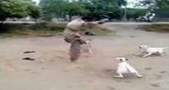 بالفيديو :كلاب يهاجمون باكستاني في الشارع ..شاهد رد فعله !!