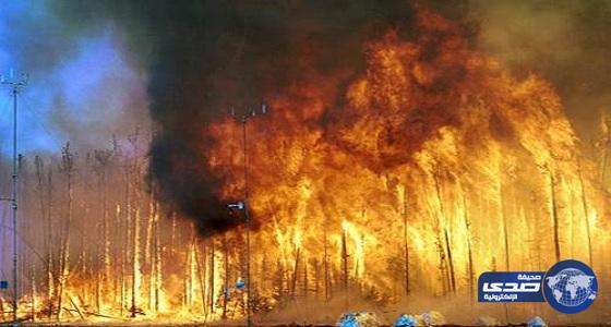 مصرع 7 أشخاص في حريق غابات بولاية تينيسي الأمريكية