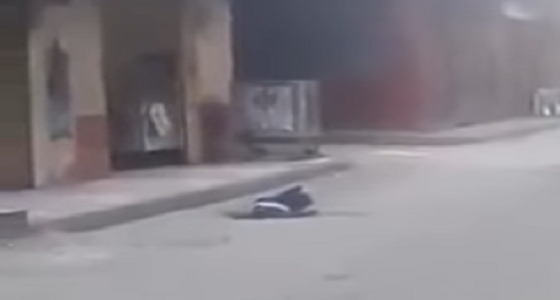 بالفيديو.. انتحار شاب من أعلى مبني سكني بمصر