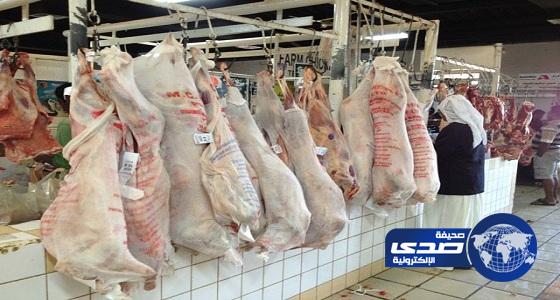 تراجع أسعار لحوم الأغنام المستوردة لـ 50%
