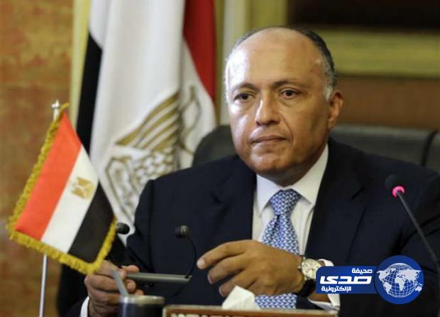 مصر تؤكد توافق مبادئ كيري لإحياء عملية السلام مع رؤيتها