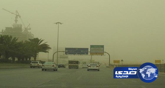 «الأرصاد»: عوالق ترابية تحد من الرؤية في الباحة ونجران ووادي الدواسر وبيشة