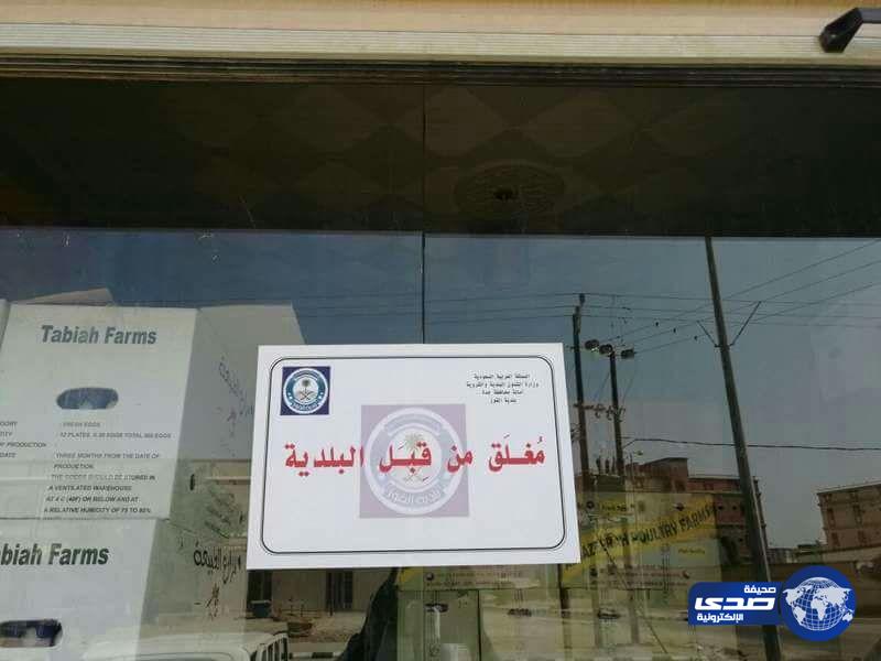 بلدية القوز تصادر 250 كرتون بيض فاسد و تغلق مستودعاً مخالفاً