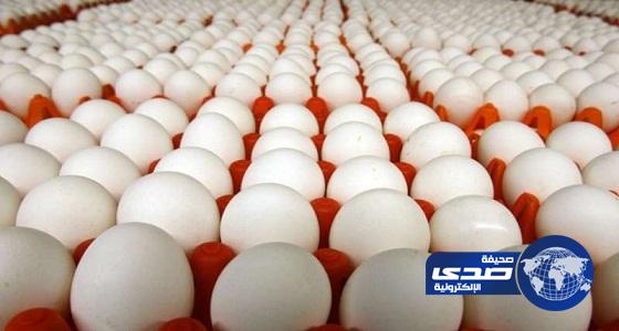 أسعار البيض ترتفع.. والباعة يعزون الأمر إلى انخفاض العرض