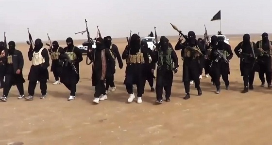 باحث أمني: داعش يواجه صعوبات فى تجنيد المواطنين