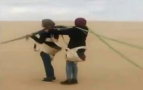 بالفيديو..سقوط طالبتين مصريتين من مظلة هوائية خلال رحلة جامعية