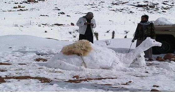 استمرار انخفاض درجات الحرارة والغيوم فى المملكة.. وتخوفات من المنخفض الجوي الأروبي
