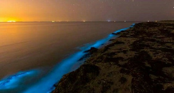 بالصور..شواطئ رأس الطرفة تجذب الزوار ببريقها اللامع في جازان