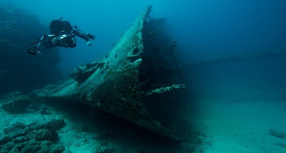 هيئة السياحة تصدر تحذيراً للباحثين عن الآثار الغارقة