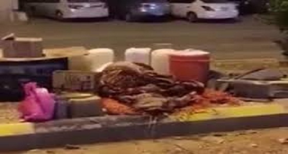 بالفيديو.. عامل يحرس منشأة وهو نائم في الشارع يثير استياء مواطن
