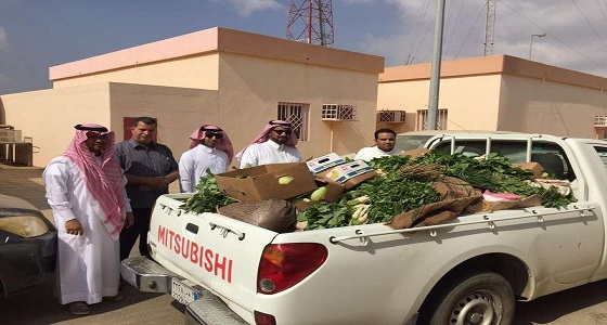 بالصور .. إغلاق 51 محلاً مخالفاً ومصادرة 450 كجم من المواد الغذائية غير الصالحة في جازان