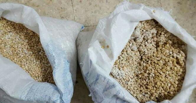 بالصور..ضبط 350 ألف حبة كبتاجون مخدرة بالاردن قبل تهريبها للمملكة