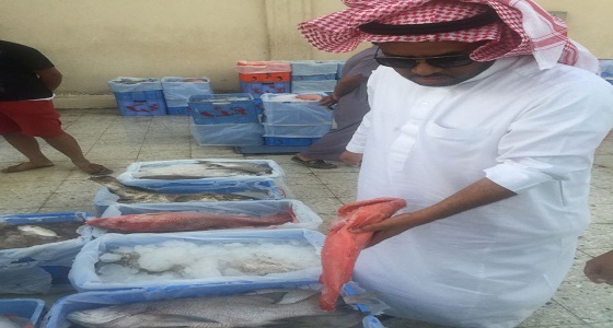 ضبط أكثر من 300 كيلو جرام من الأسماك الفاسدة في مكة