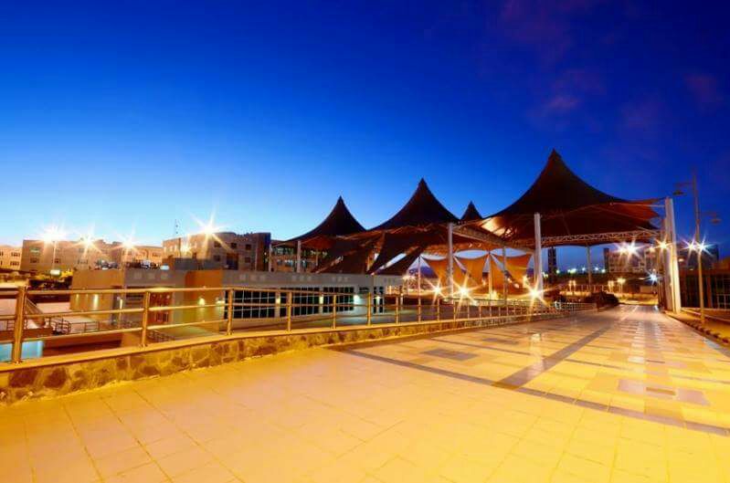 للنساء فقط .. وظائف أكاديمية شاغرة بجامعة الملك خالد