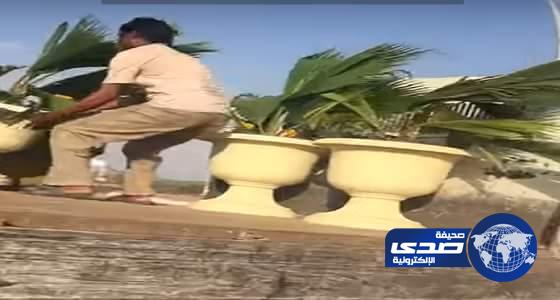 بالفيديو..العمال يزيلون  نباتات زينة من أحد الطرق عقب انتهاء زيارة أمير مكة المكرمة