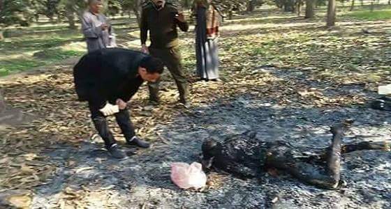 بالصور..العثور على جثة شاب مذبوح ومتفحم بمصر