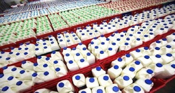 الجمارك تبدأ تنفيذ قرار رفع الرسوم الجمركية على الألبان المستوردة