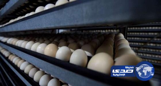 “الغذاء والدواء” تحظر استيراد الدواجن والبيض من مناطق في 5 دول