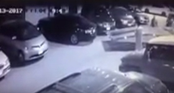 بالفيديو.. لصوص يسرقون سيارة حكومية على سطحة بالرياض