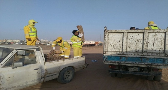 أمانة الرياض تشن حملة لضبط البسطات والأكشاك المخالفة بعدد من الأحياء