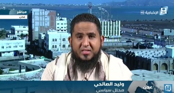 الجيش اليمني يحكم قبضته على المخا ويسيطر على باب المندب