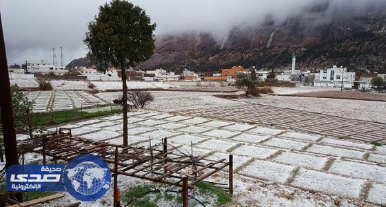 بالفيديو والصور.. الثلوج تحتضن طرق تنومة في مشهد أوروبي