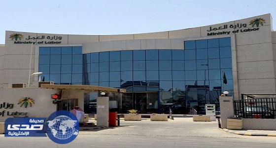 مختصون: 20ألف وظيفة لأبناء المواطنات من أجانب بقطاعي الاتصالات والمستلزمات النسائية