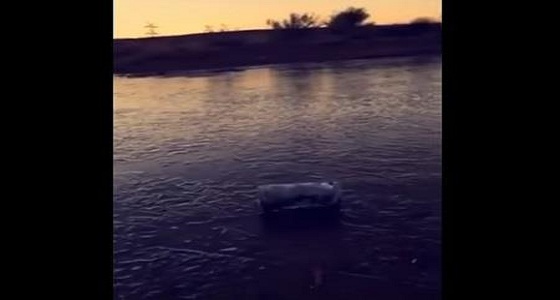 بالفيديو.. الزعاق يستعرض تجمد المياه بمنطقة صحراوية