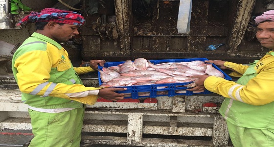 بالصور.. مصادرة 150 كيلو سمك في حوش شعبي ببحرة