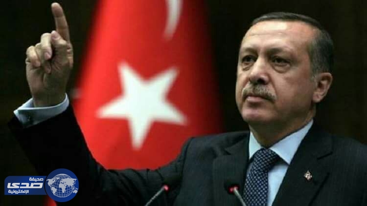أردوغان يدعو دول الخليج للمشاركة في إقامة منطقة آمنة في سوريا