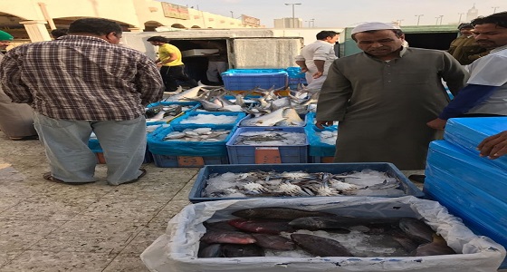 ضبط وإتلاف 500 كيلو سمك فاسد بسوق الشوقية المركزي